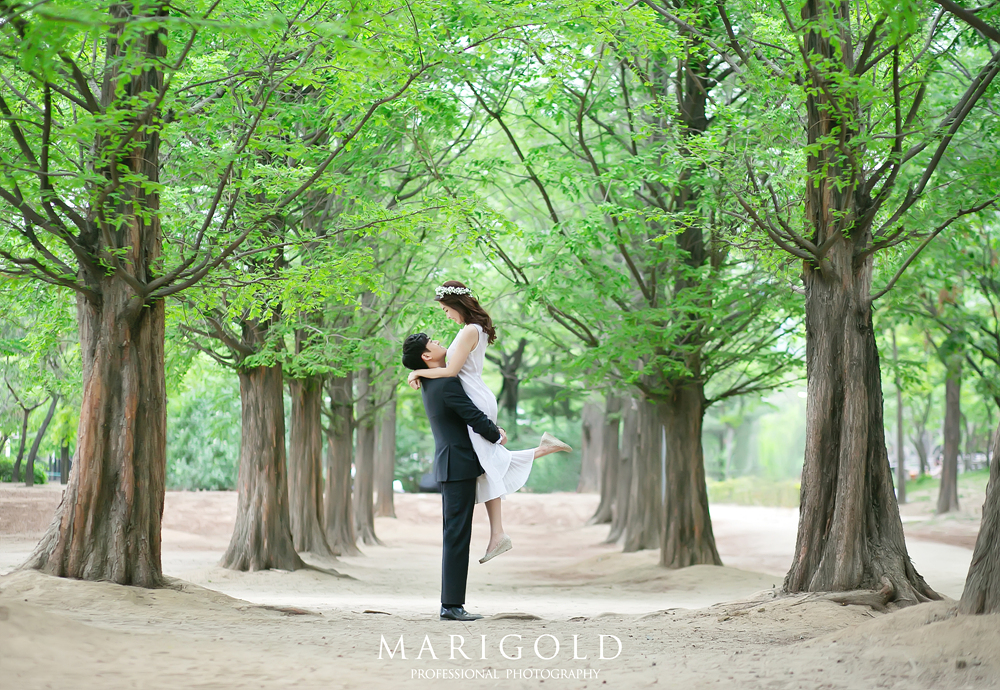 Marigold Studio - Sweet Memory